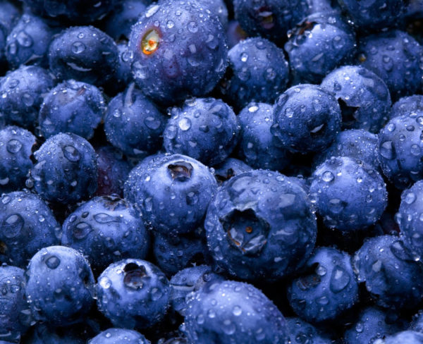 Twangy Berry Blues Session