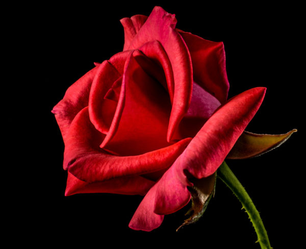 Bring Your Sweet Lovin’